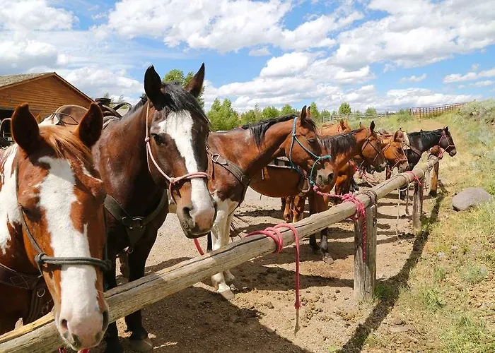 Spring Creek Ranch Resort Jackson