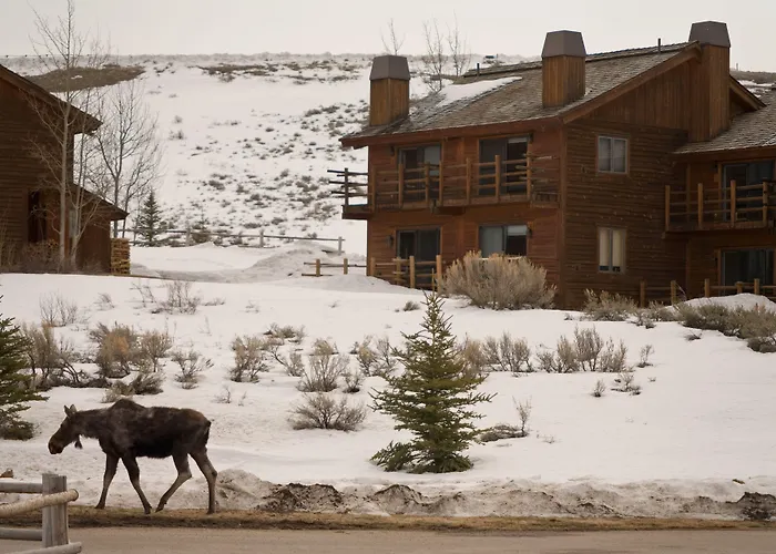 Spring Creek Ranch