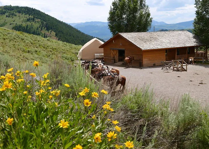 Spring Creek Ranch 4* Jackson