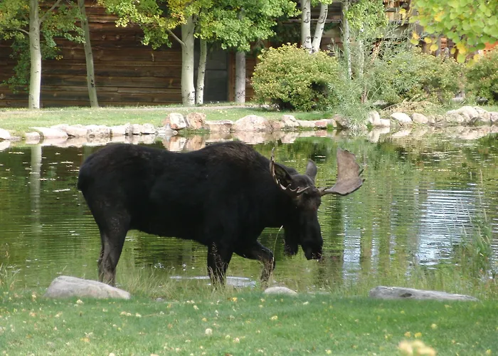 Spring Creek Ranch Resort