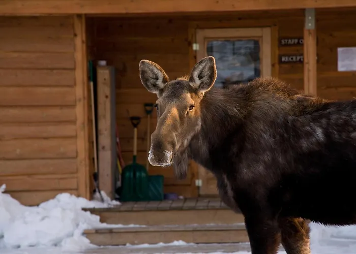 Resort Spring Creek Ranch 4*